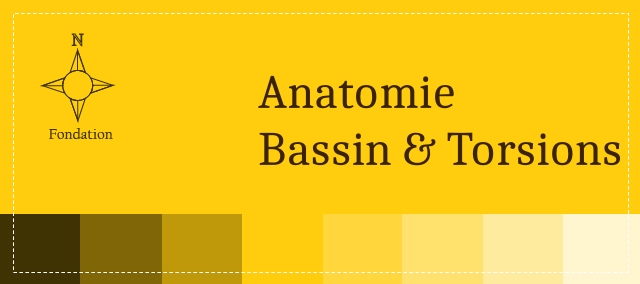 AES_FC_Anato-bassin-img-crs